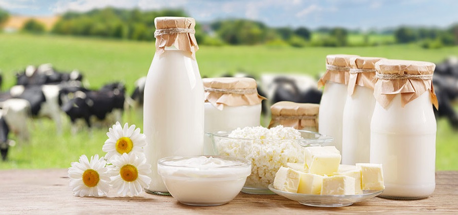 مالیات لبنیاتی