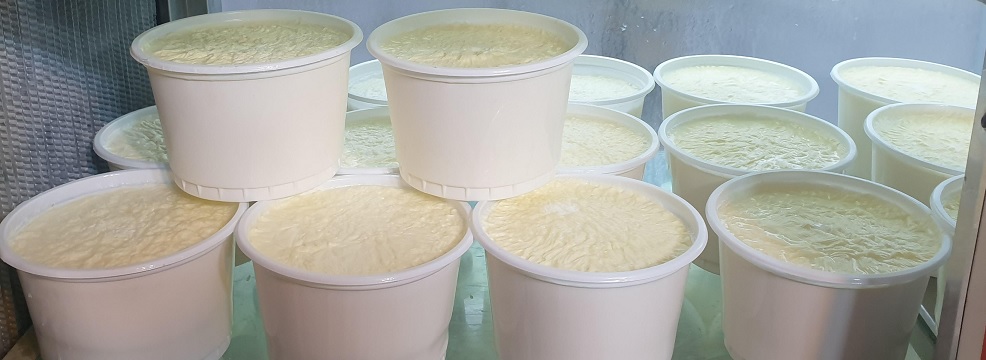 مالیات ماست بندی